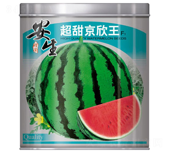 ��������-���ϷN��-����