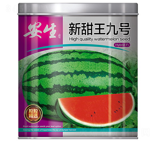 ��������̖-���ϷN��-����