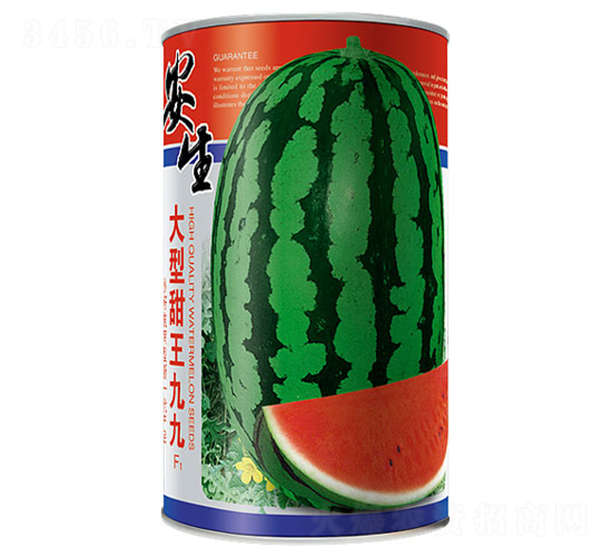 ���������ž�-���ϷN��-����