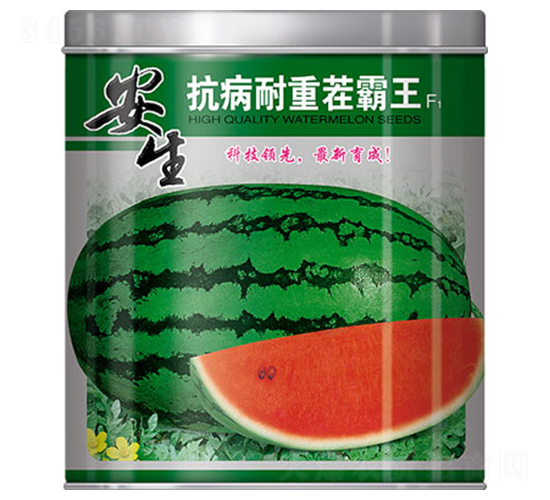 �������ز����-���ϷN��-����