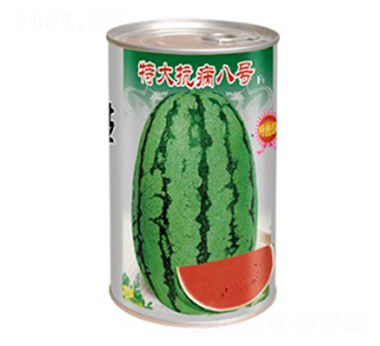 �ش󿹲���̖-���ϷN��-����