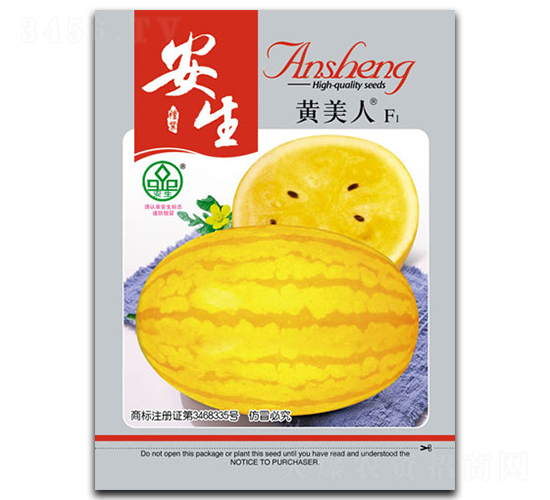 �����S����-���ϷN��-����