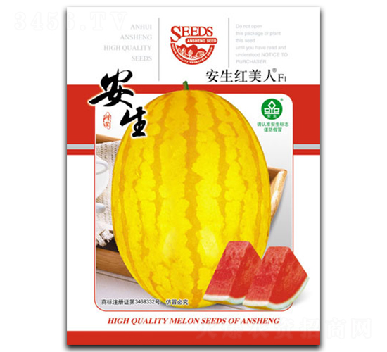 �t����-���ϷN��-����