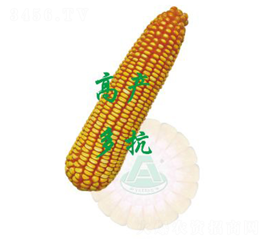 ����24-���׷N��-ԣ�S�N�I(y��)