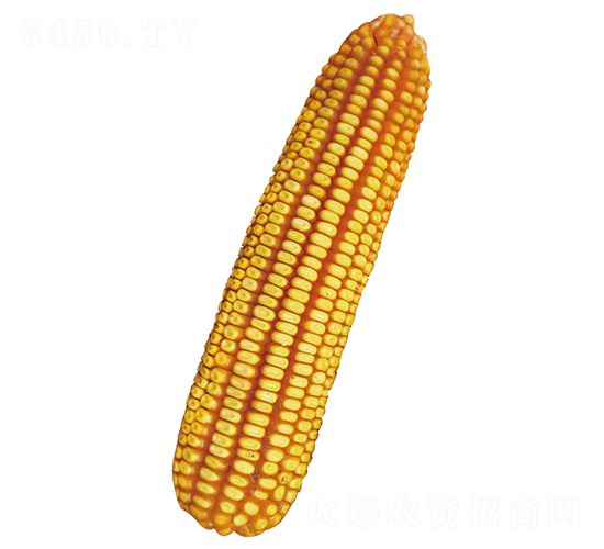 ԣ�S102-���׷N��-ԣ�S�N�I(y��)