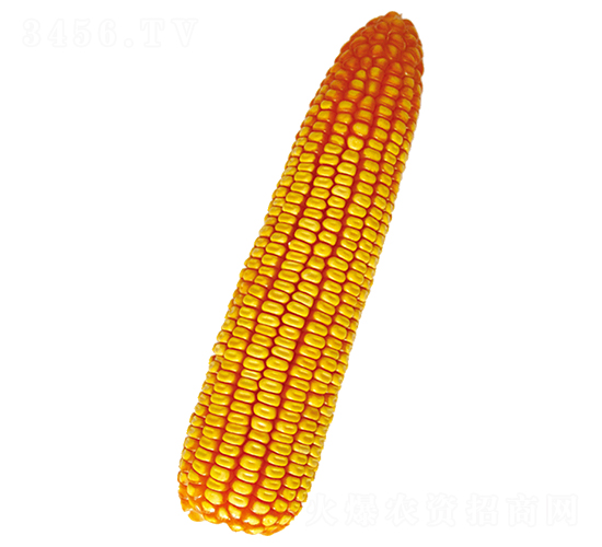 ԣ�S105-���׷N��-ԣ�S�N�I(y��)