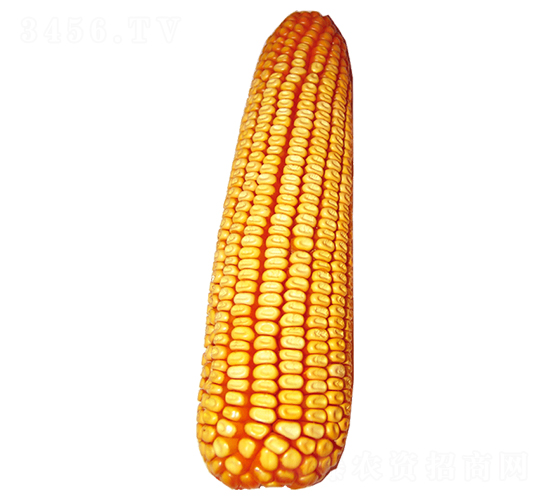 ԣ�S310-���׷N��-ԣ�S�N�I(y��)