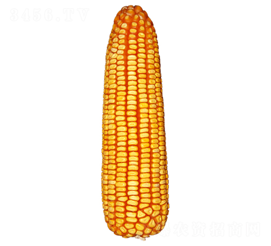 ����68-���׷N��-ԣ�S�N�I(y��)