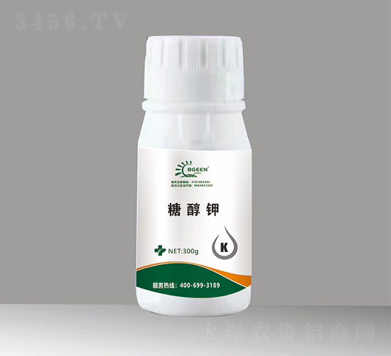 �Ǵ��-�͸񠖹��ܷ�