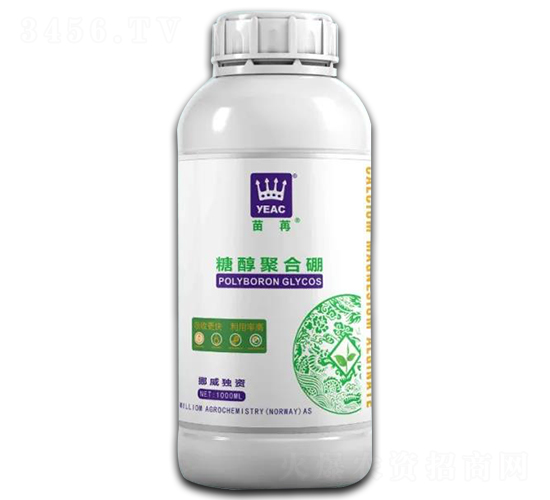 �Ǵ��ۺ���-����