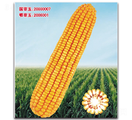 �Ǻ�9̖-���׷N��-���^�B