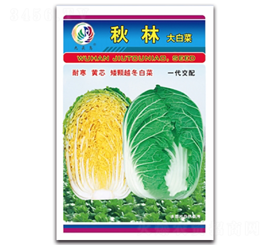 ����-��ײ˷N��-���^�B