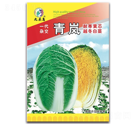 ����-��ײ˷N��-���^�B