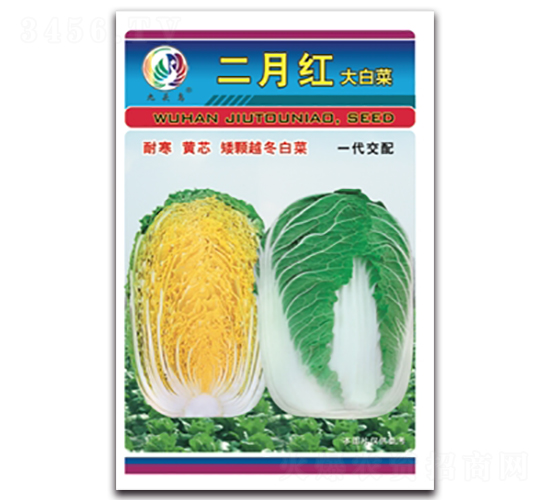 ���¼t-��ײ˷N��-���^�B