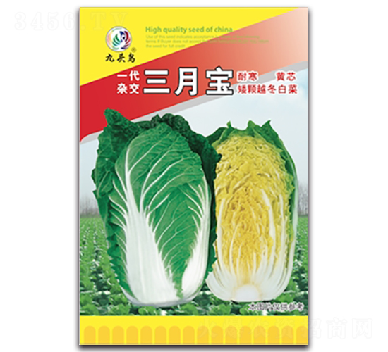 ����-��ײ˷N��-���^�B