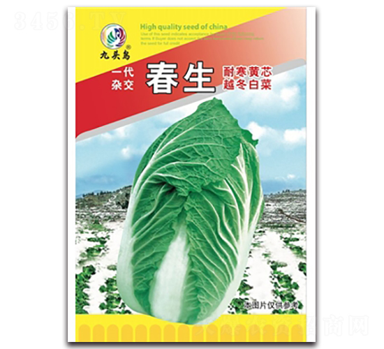 ����-��ײ˷N��-���^�B