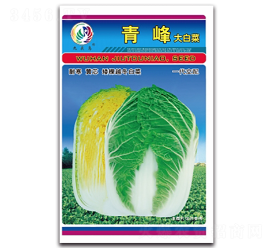 ���-��ײ˷N��-���^�B