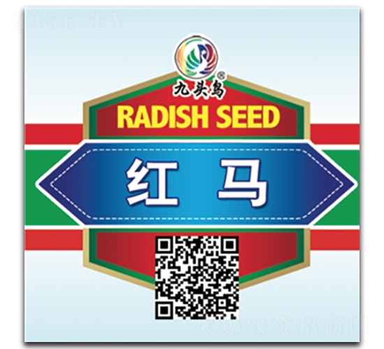 �t�R-�}���N��-���^�B