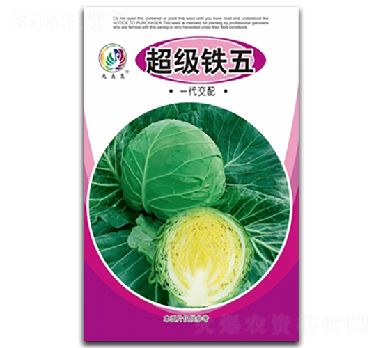 ����(j��)�F��-���{(l��n)�N��-���^�B