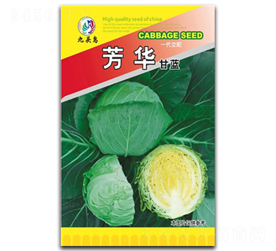 ���A���{(l��n)-���{(l��n)�N��-���^�B