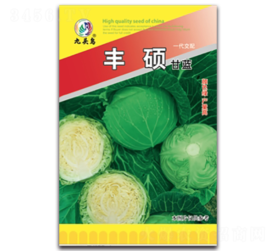 �S�T���{(l��n)-���{(l��n)�N��-���^�B(ni��o)