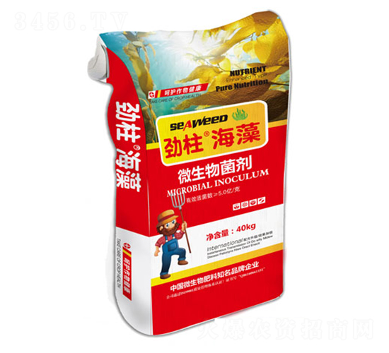 ΢�������-��������-형r�