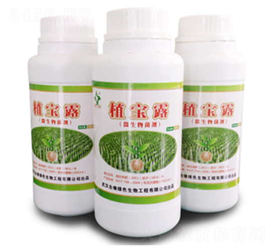 ֲ��¶-�Ͼ���