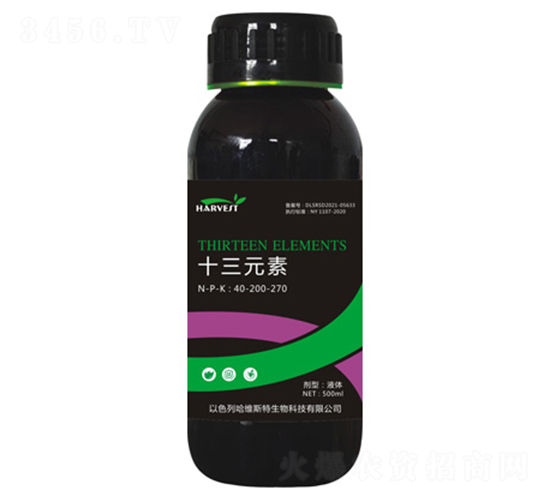 ʮ��Ԫ��-���S˹��