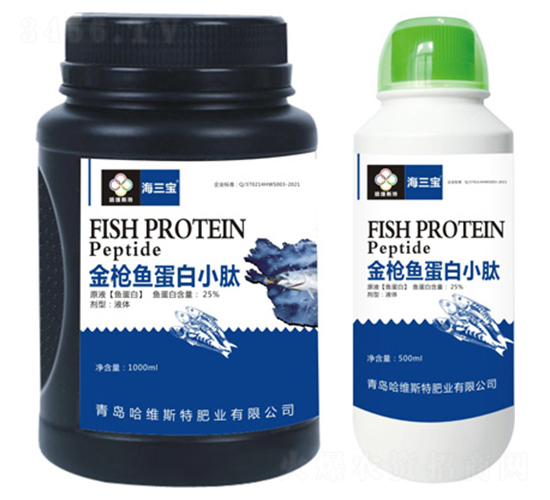 ���~����С��-������-���S˹��