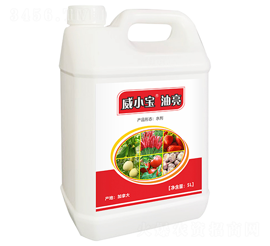 ����-��С��-��巉�