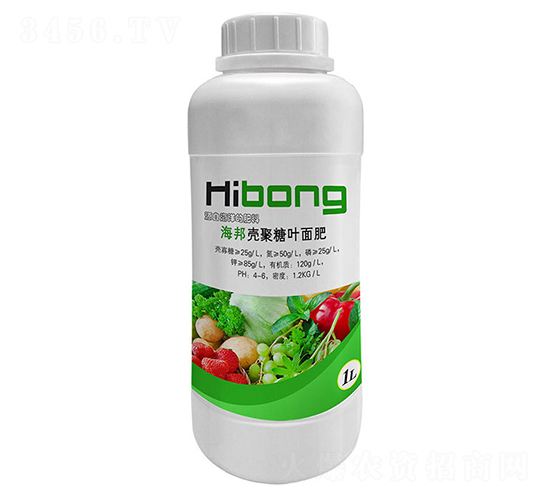 �����~���-�������