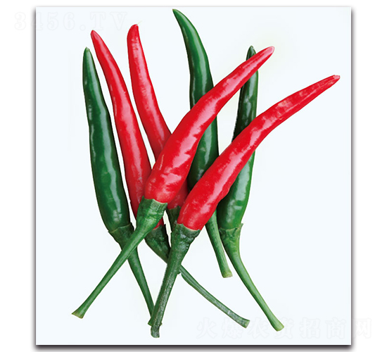 ��������-�����N��-�F(xi��n)������