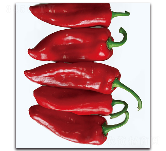 �F(xi��n)���ݽ�������-�����N��-�F(xi��n)������