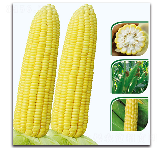 ����8̖(h��o)����-�����׷N��-�F(xi��n)������