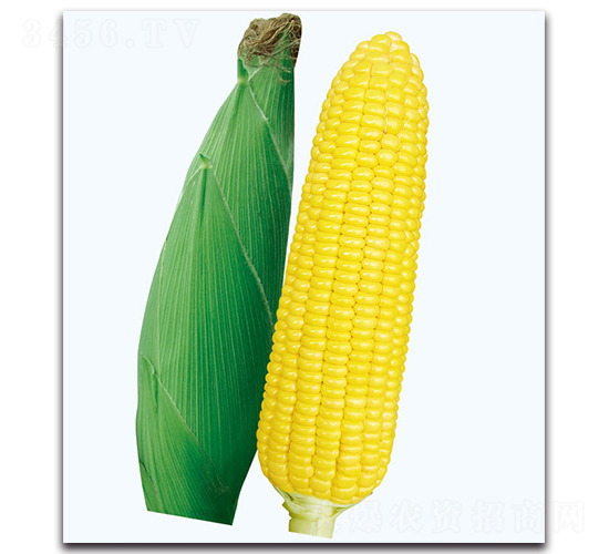 �A����2̖(h��o)����-�����׷N��-�F(xi��n)������