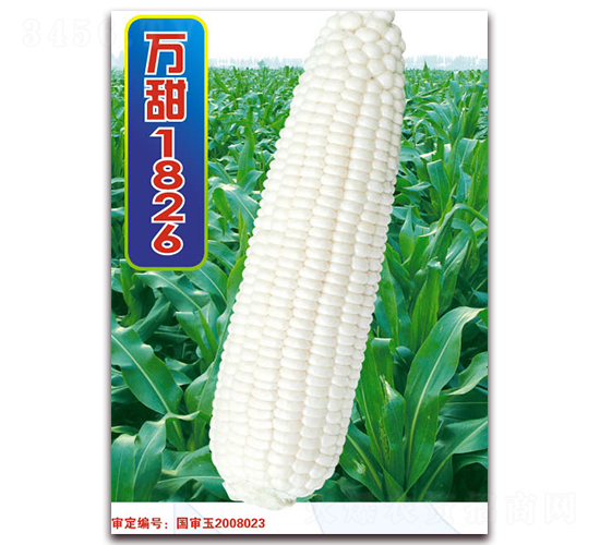 �f��1826-�����׷N��-�A��N�I(y��)