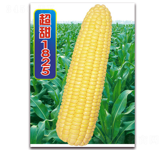 ����1825-�����׷N��-�A��N�I(y��)