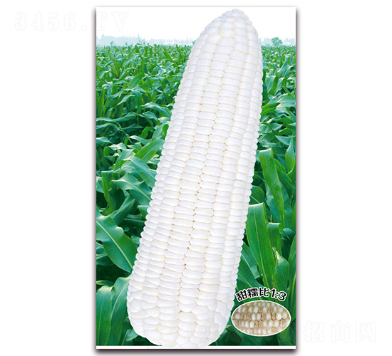 �f(w��n)Ŵʮһ-Ŵ���׷N��-�A��N�I(y��)