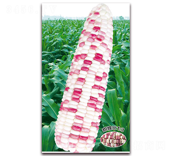 �f����Ŵ118-Ŵ���׷N��-�A��N�I(y��)