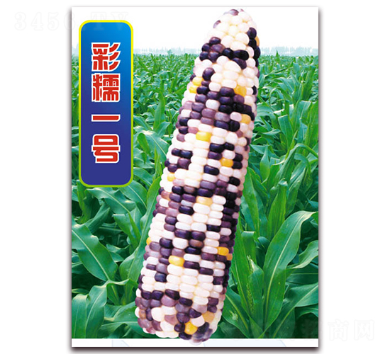 ��Ŵһ̖-Ŵ���׷N��-�A��N�I(y��)