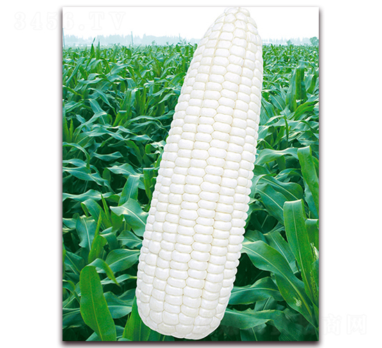 �fŴ102-Ŵ���׷N��-�A��N�I(y��)