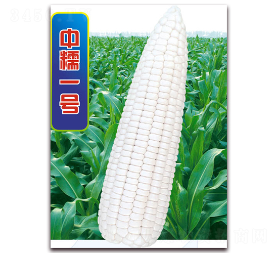 ��Ŵһ̖(h��o)-Ŵ���׷N��-�A��N�I(y��)