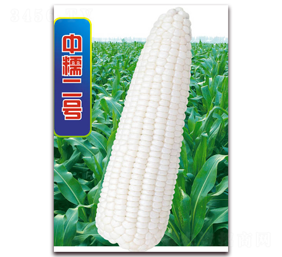 ��Ŵ��̖-Ŵ���׷N��-�A��N�I(y��)