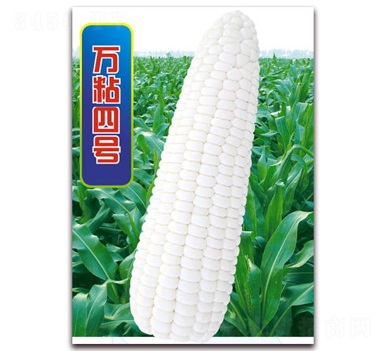 �fճ��̖-Ŵ���׷N��-�A��N�I(y��)