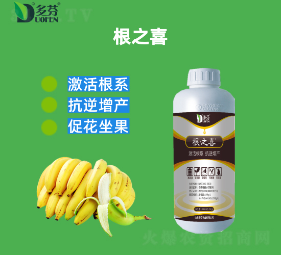 ��֮ϲ-����r(n��ng)�I(y��)