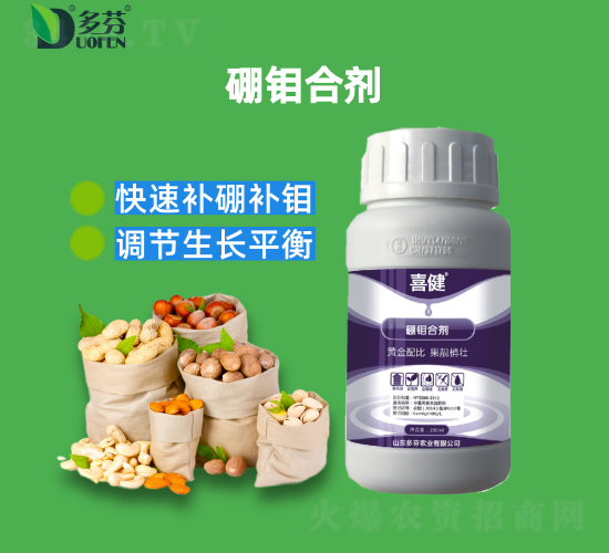 ���f�τ�-ϲ��-����r(n��ng)�I(y��)