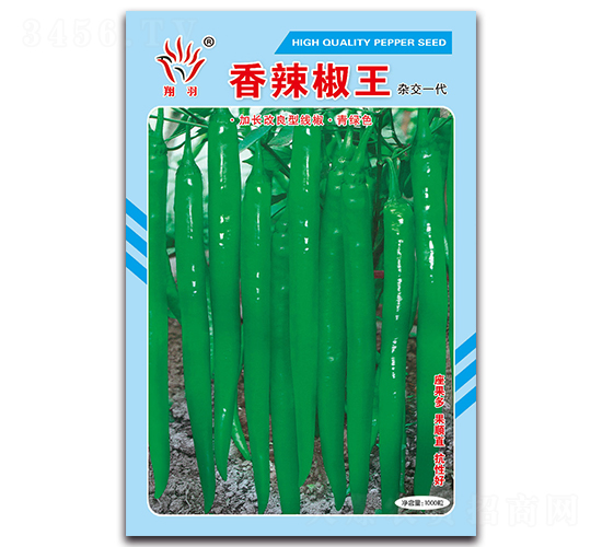 ��������-�����N��-���ܷN�I(y��)