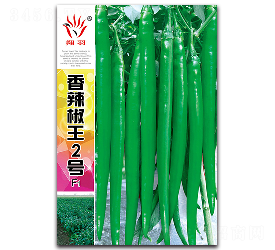 ��������2̖-�����N��-���ܷN�I(y��)