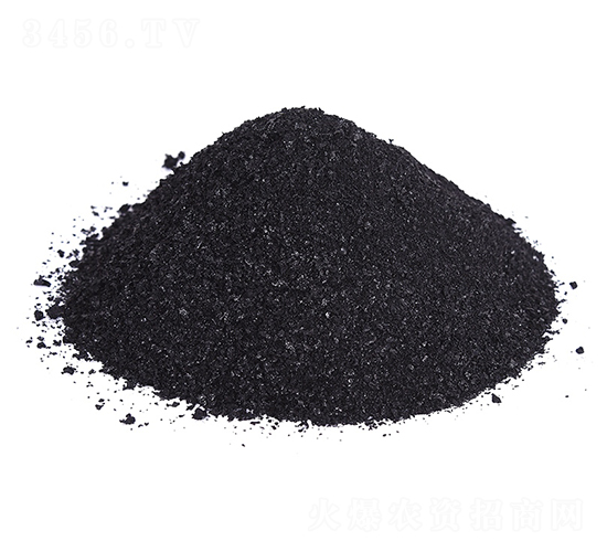 �VԴ�S�����-�𺣵|