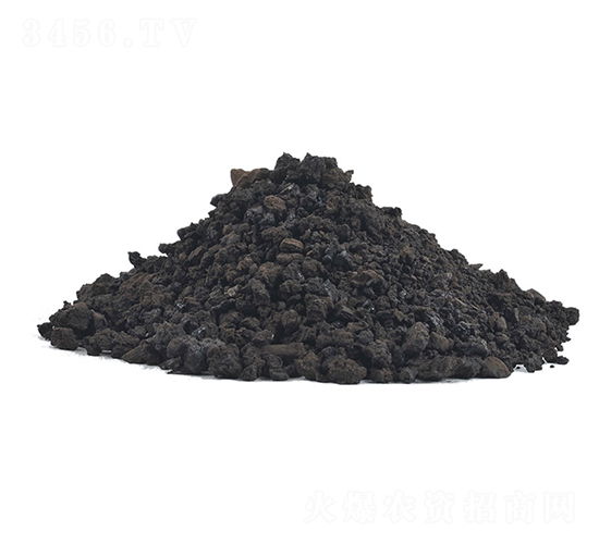 �S������w��-�𺣵|